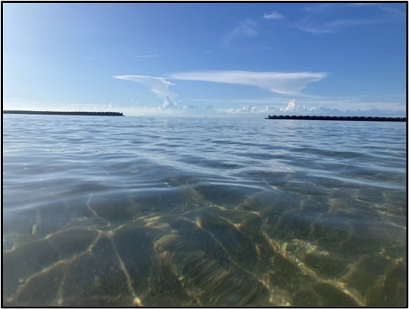 淡路島発！DX推進エンジニア 松坂さんインタビュー｜Power Platformとコーヒーへの情熱