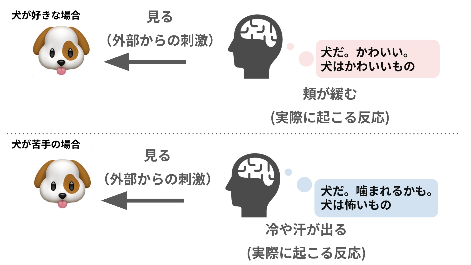 認知科学の説明