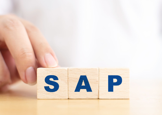 SAPを導入！メリットやデメリットおよび成功のポイントを解説