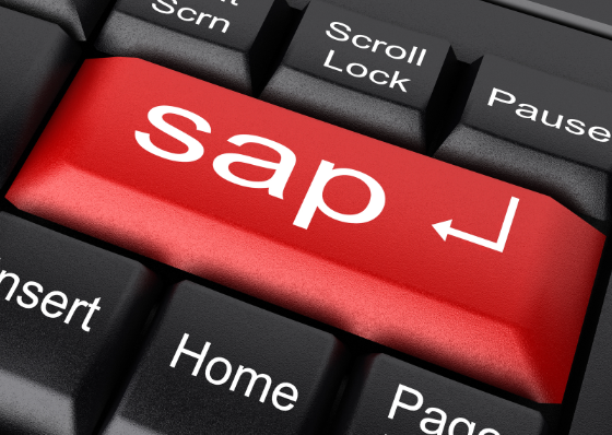 SAPとSAPを扱うエンジニア - 仕事内容・必要スキル・将来性について解説